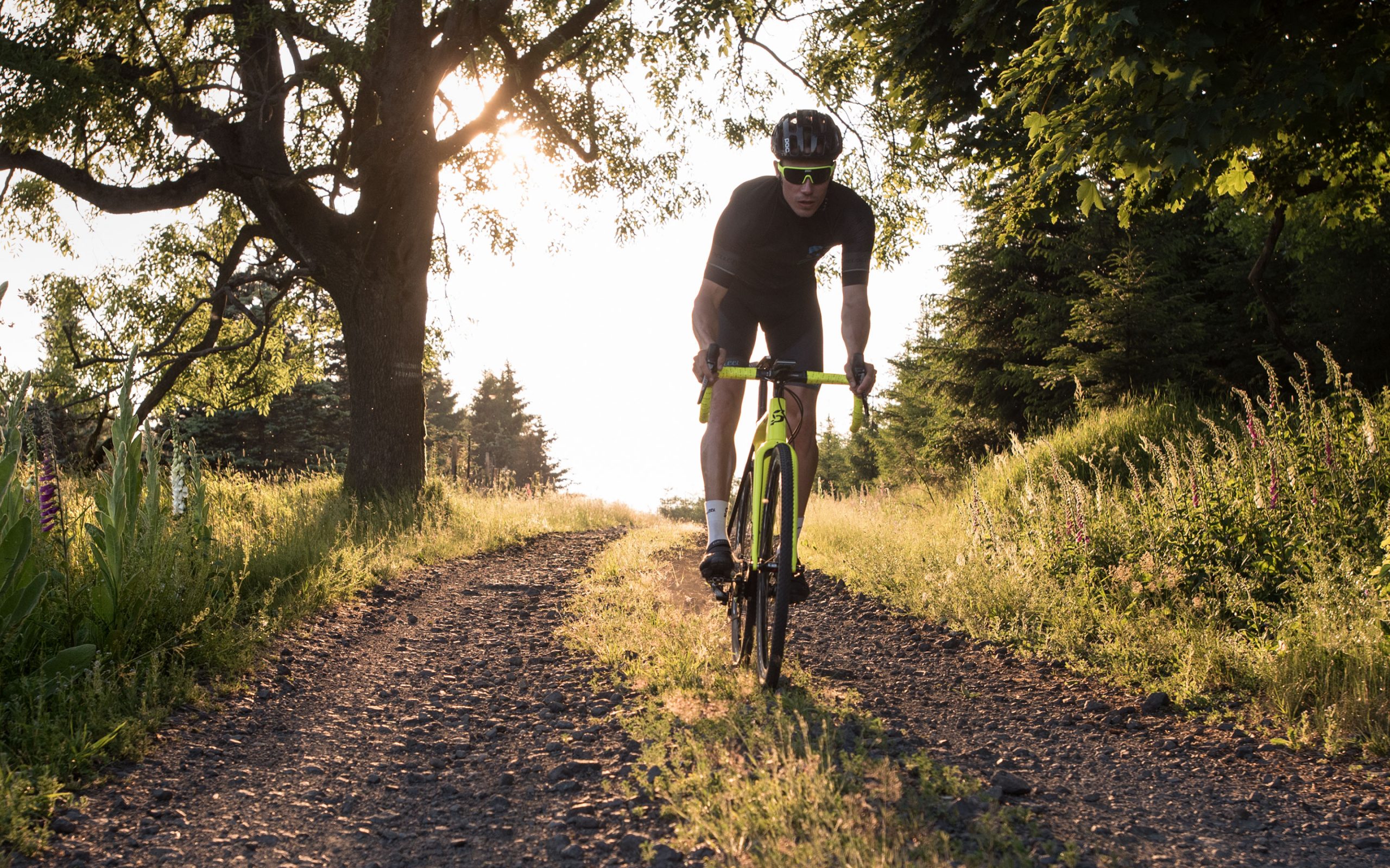 Bikeline Berlin Fahrradfachgeschäft